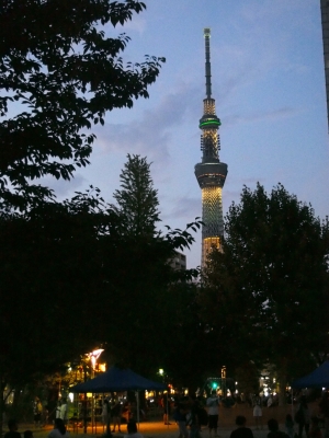 P8145038.JPG