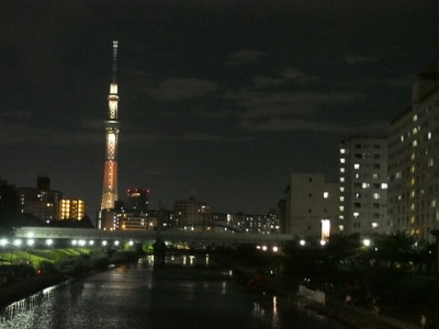 P8158585.jpg