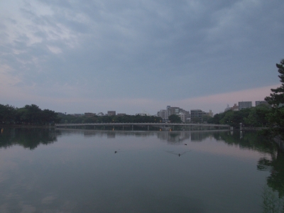 P90801871.JPG
