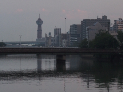 P9080193.JPG
