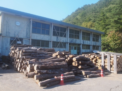 原木