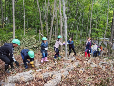 小学生