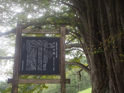 看板