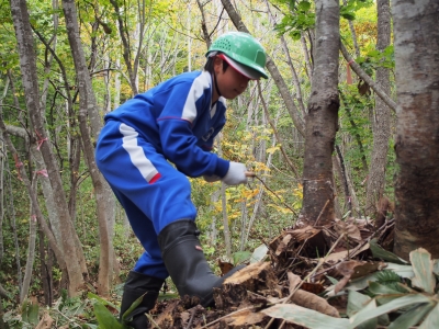 男子作業中