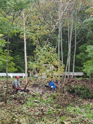 PA080057.JPG