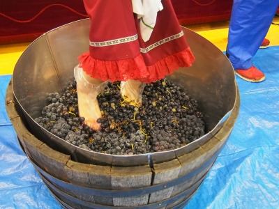 PA080116.JPG