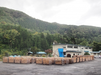 PA090175.JPG