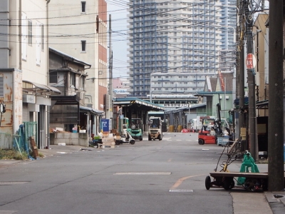 築地場内2