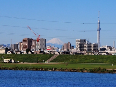 スカイツリーと富士山