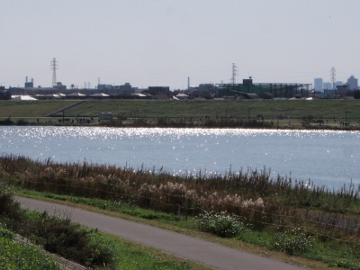 秋の河川敷