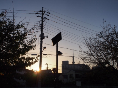 夕暮れ