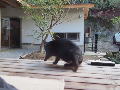 ビックリ