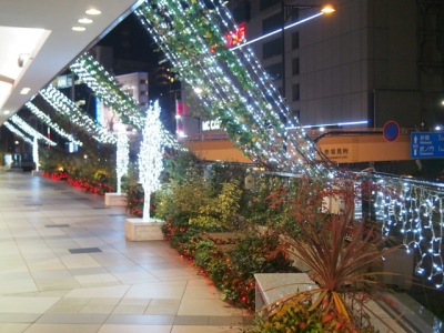PB200033.jpg