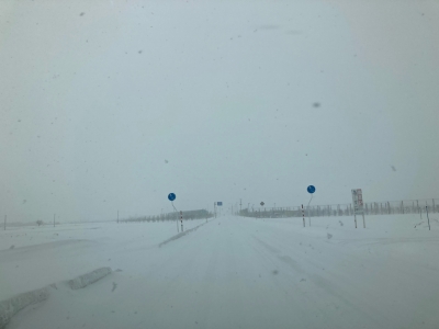 雪