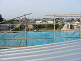 DSCN1631