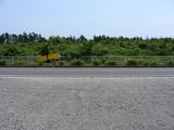 DSCN1636