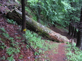 薪ストーブ　二軒小屋