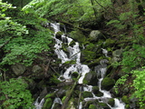 薪ストーブ　二軒小屋