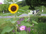 ＳＤ2保存０９０８１１ 702