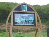 ＳＤ2保存０９０８１１ 725