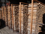 P9070050