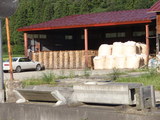 P9070057