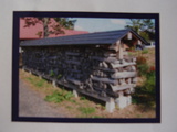 P9080069