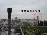 BlogPaint