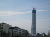 スカイツリー　１