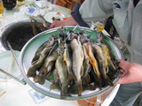 葛巻町　２４