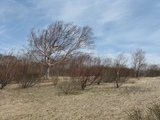 葛巻町　４４