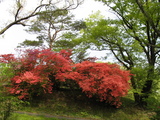 那須町　７