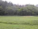 葛巻現況2010629 026