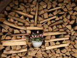 薪ストーブ屋の夏２０１０ 030