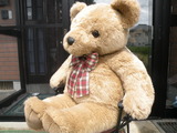 薪ストーブ屋の夏２０１０ 029