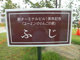 iwatehanamakitv 081