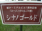iwatehanamakitv 082