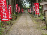 iwatehanamakitv 110