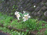 薪ストーブ　那須町　４