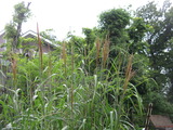 薪ストーブ　那須町　３