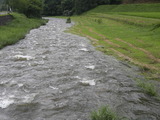 iwatehanamakitv 106