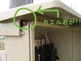 薪ストーブ　山武市　１