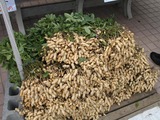 薪ストーブと千葉の産直
