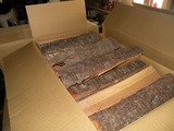 薪ストーブと薪生産者研修 008
