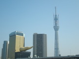 薪ストーブ　東京マラソン　３