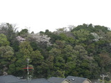薪ストーブ 新規chiba＆横須賀 015