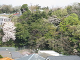 薪ストーブ 新規chiba＆横須賀 011