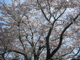 薪ストーブ と炉台2 001