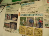 薪ストーブ屋イベントに行く 009