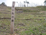 薪ストーブ　植樹祭　４